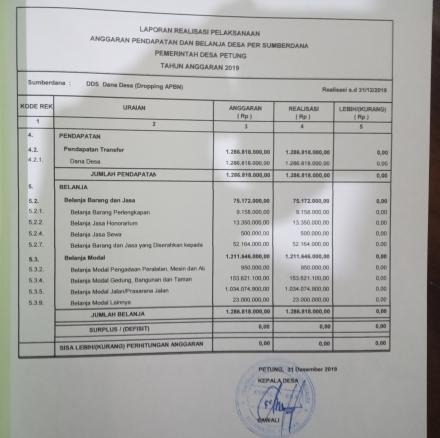 laporan Realisasi Pelaksanaan DD tahun 2019